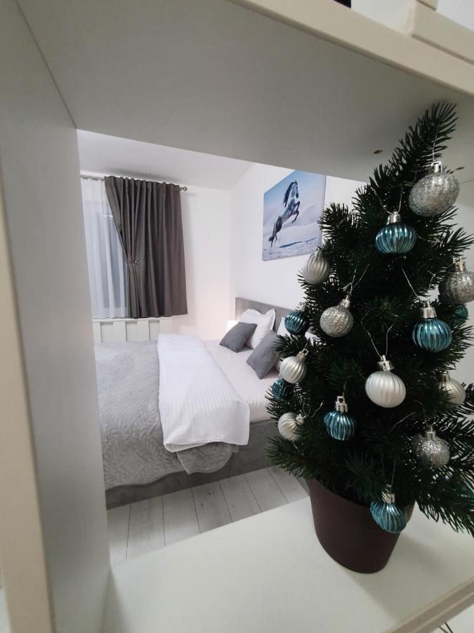 Fresh Mountain Brasov Apartment Ngoại thất bức ảnh